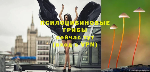 крисы Алексеевка