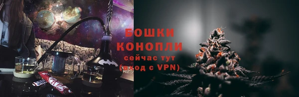 ПСИЛОЦИБИНОВЫЕ ГРИБЫ Михайлов