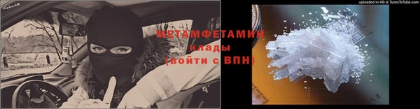 ПСИЛОЦИБИНОВЫЕ ГРИБЫ Михайлов