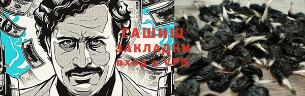 ECSTASY Алзамай