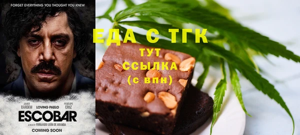 ECSTASY Алзамай